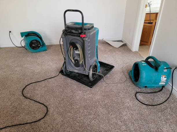 Best Fire Damage Restoration  in New Brunswick, NJ