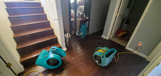 Best Basement water damage restoration  in New Brunswick, NJ