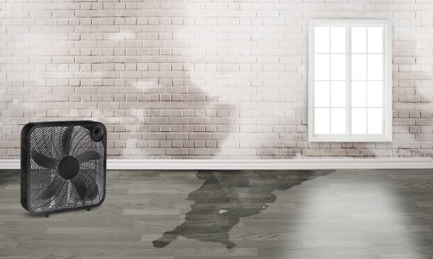 Best Commercial water damage restoration  in New Brunswick, NJ