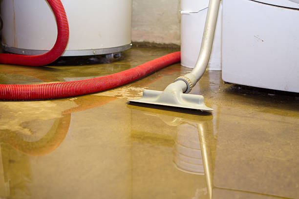 Best 24-hour water damage restoration  in New Brunswick, NJ