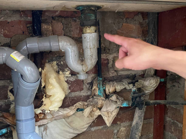 Best Mold removal after water damage  in New Brunswick, NJ